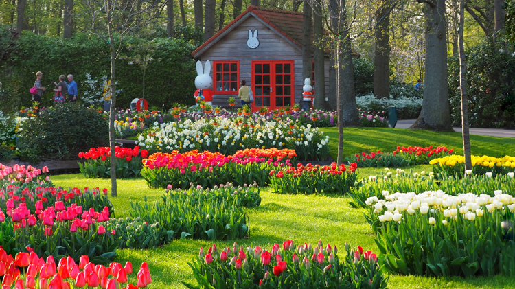 Keukenhof Tulip Garden